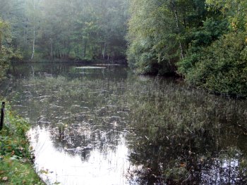 Streitteich